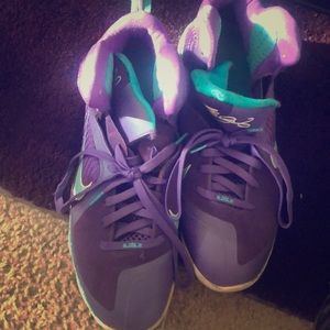 Lbj charlotte hornets